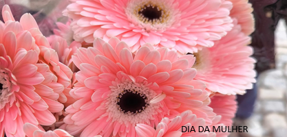 Dia da Mulher